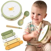 VIGA PolarB Zestaw Instrumentów Muzycznych Zielony - zdjęcie 1