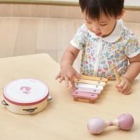 VIGA PolarB Zestaw Instrumentów Muzycznych Różowy - zdjęcie 2