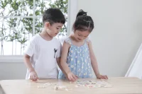 VIGA Gra Edukacyjna Układanka Ucząca Sortuj Zmysły 37 el. Montessori - zdjęcie 2