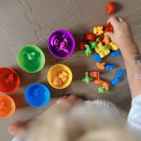 WOOPIE Gra Edukacyjna Montessori Sorter Kolorów Dinozaury 56 el. - zdjęcie 3