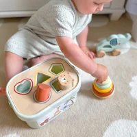 WOOPIE GREEN Pudełko Sorter Box 3w1 Klocki Piramidka Słonik FSC - zdjęcie 2