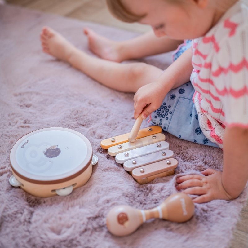 VIGA PolarB Zestaw Instrumentów Muzycznych Z Jeżykiem - zdjęcie 2